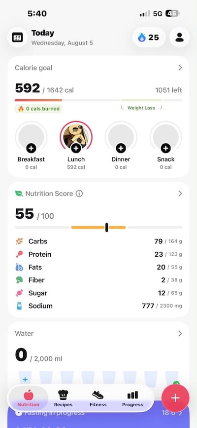 Screenshot of the food tracking app that inspired the project